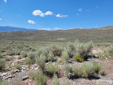 Lot 2 Gold Valley Dr unit Lot 2, Salmon, ID 83467 - photo 2