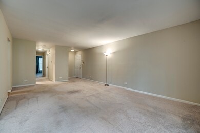 50 Plymouth Ct unit 5102B, Naperville, IL 60565 - photo 5