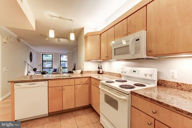 The Clara Barton at Penn Quarter unit 309, Washington, DC 20004 - photo 7