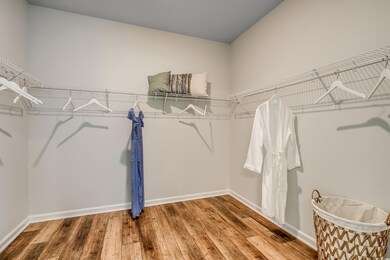 Walk in closet featuring hardwood / wood-style flo