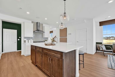 33 Weirich Way unit 77004, Batavia, IL 60510 - photo 7