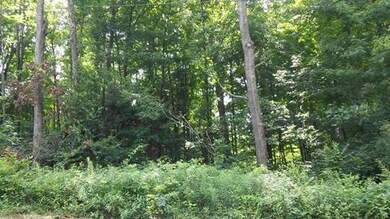 0 Grand Valley View Ct unit 215025511, Howard, OH 43028 - photo 4