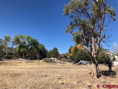 1145 SE 3rd St, Cedaredge, CO 81413 - photo 3