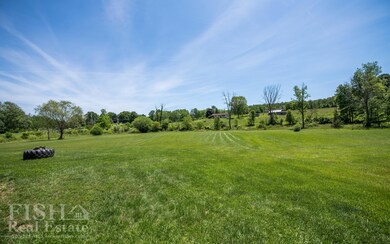 Land/Yard View 1