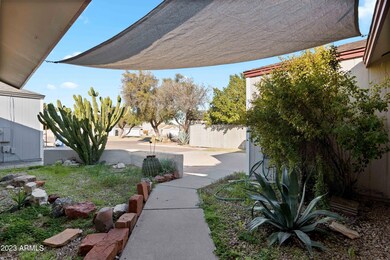 Shaded Entry with Desert Landscaping