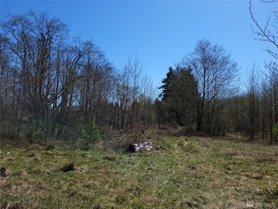 56 300th St NW, Stanwood, WA 98292 - photo 7