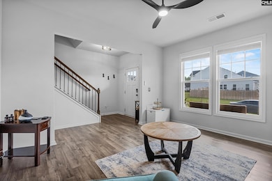 146 Belfast Way, Lexington, SC 29073 - photo 5