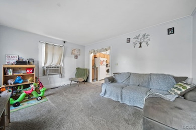 210 S Ottawa St, Tecumseh, MI 49286 - photo 6