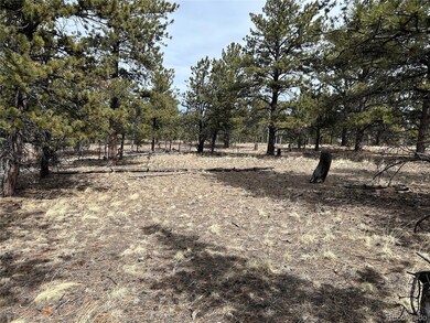 2146 Wagon Wheel Rd unit 353, Hartsel, CO 80449 - photo 6