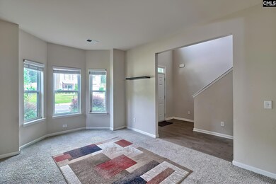 715 Soldier Gray Ln, Chapin, SC 29036 - photo 5