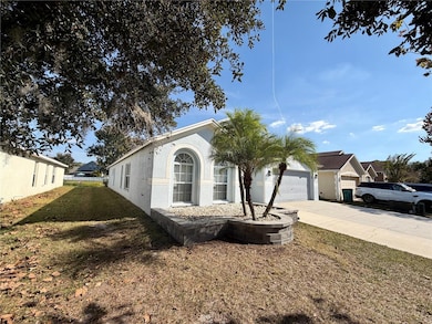 6838 Runner Oak Dr, Wesley Chapel, FL 33545 - photo 4