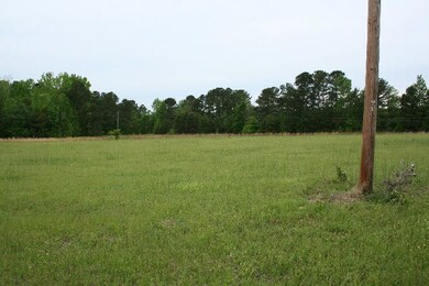 0 Augusta Highway 47, Lincolnton, GA 30817 - photo 6