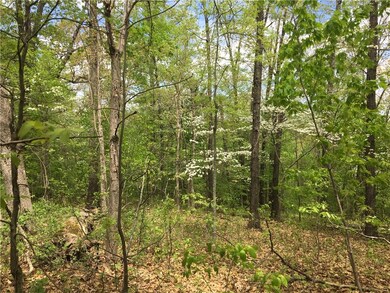 Lot 11 Ford Ln, Bella Vista, AR 72714 - photo 5