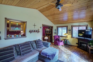 1st floor family room offers vaulted ceiling with 