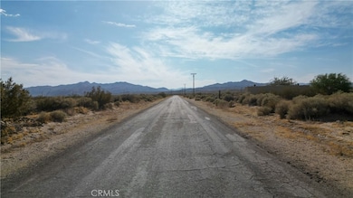 10313 Lake Rd, Cantil, CA 93519 - photo 2