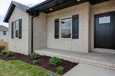 Shelby 5 Bed Basement