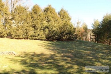 300 Campbell Glen Ln, Fleetwood, NC 28626 - photo 7