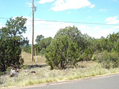 South boundary of parcel.