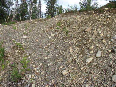 6531 E Upper Ct, Lakes, AK 99645 - photo 2