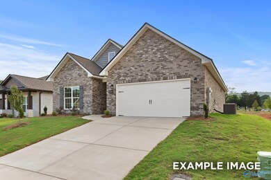 221 Pine Island Ave, Toney, AL 35773 - photo 3