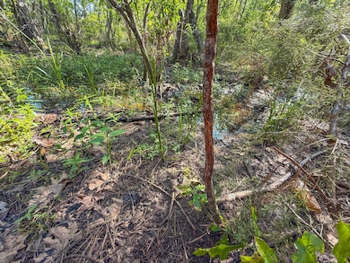 0 Tbd Hwy 69, Woodville, TX 75979 - photo 7