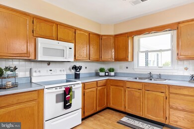 2381 Minebank Rd, Strasburg, VA 22657 - photo 4