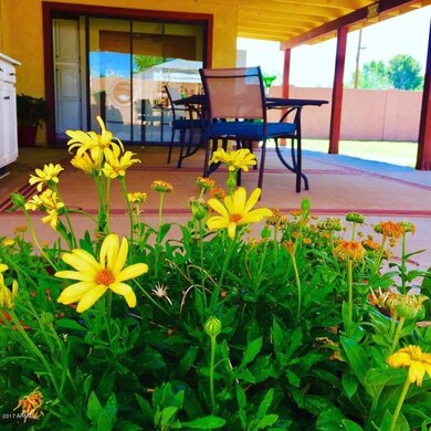 Pretty Patio