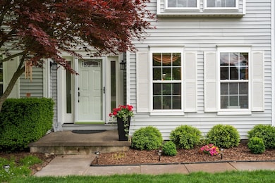 5-web-or-mls-JEL07709