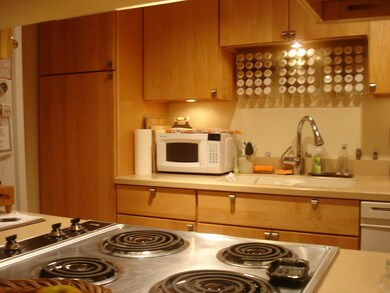 Kitchen View 2