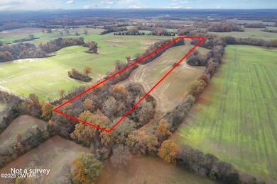 0 Jesse Patterson Rd unit 2505607, Trenton, TN 38382 - photo 6