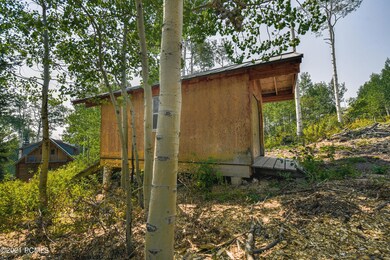 shed and house
