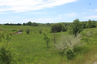 IMG_0744