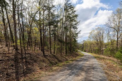 0 Cross Mountain Rd unit 663155, Luray, VA 22835 - photo 6
