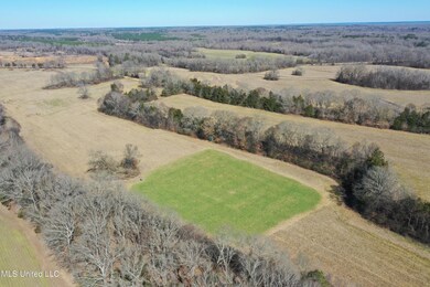DJI_0110
