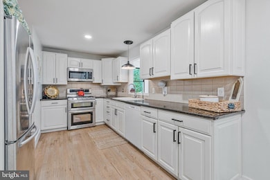 6285 Snowfox Ln, Broad Run, VA 20137 - photo 3