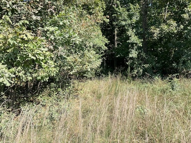 Abundance of Wildlife