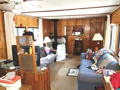 11882 N Bingham Ave, Bitely, MI 49309 - photo 3