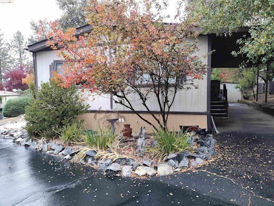 10956 Green St unit 152, Columbia, CA 95310 - photo 4