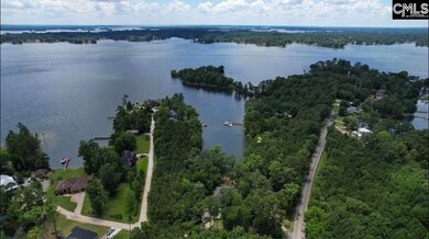 lot 2 Saint Thomas Church Rd, Chapin, SC 29036 - photo 5