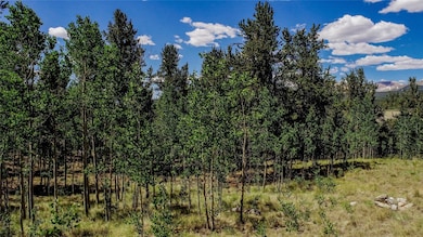 308 Quarry Rd, Fair Play, CO 80440 - photo 3