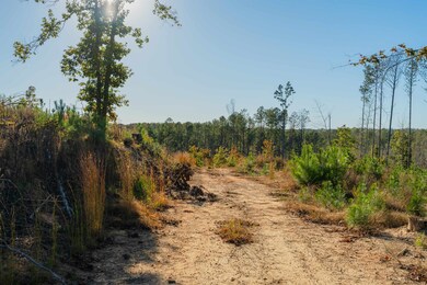 000 Quarter Round Rd, Pacolet, SC 29372 - photo 6