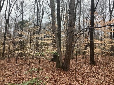 0 Zoo Pkwy unit 1134262, Asheboro, NC 27205 - photo 5