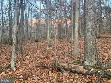 0 Comptons Ln, Great Cacapon, WV 25422 - photo 3