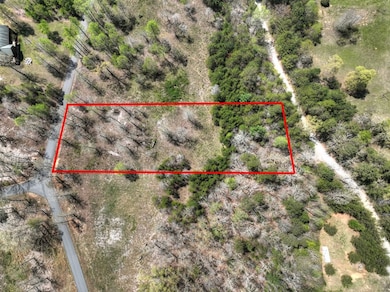 6 Arbor Creek Trail, Mineral Bluff, GA 30559 - photo 2