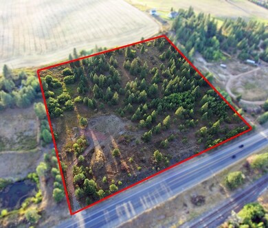 14117 E Gibbs Rd, Valleyford, WA 99023 - photo 5