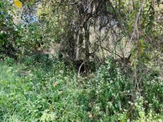 0 Eagle Ave, Wheeling, WV 26003 - photo 5