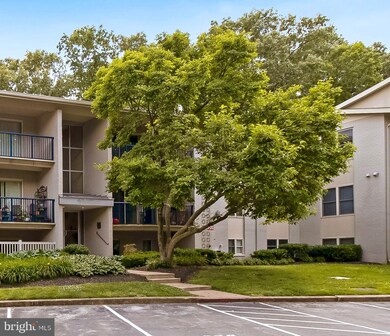 1140 Cove Rd unit 201, Annapolis, MD 21403 - photo 3