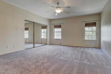 Master bedroom. Both bedrooms have brand new carpe
