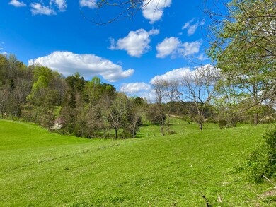 IMG_3303