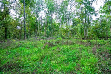 Cr 1250 N, Ellery, IL 62833 - photo 7